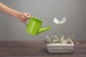 Making money - watering dollar-plants